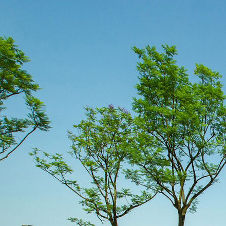 温泉酒店vi设计品牌形象传播