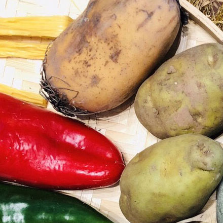 温泉酒店vi设计字体选择建议