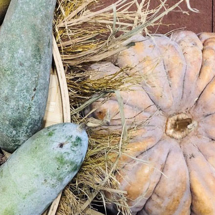 温泉酒店vi设计问题解决案例