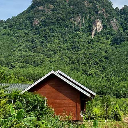 传统温泉酒店vi设计更新