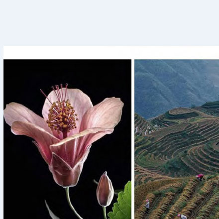 环保理念在酒店标识标牌设计公司的实践。